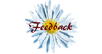  Feedback 