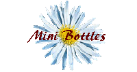  Mini Bottles 